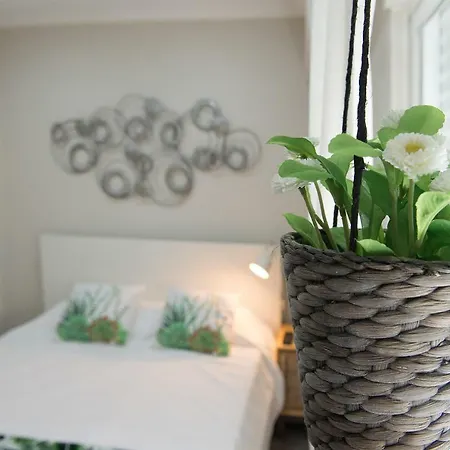Zen House